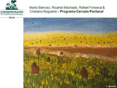 Mario Barroso, Ricardo Machado, Rafael Fonseca & Cristiano Nogueira – Programa Cerrado Pantanal S. Mamede.