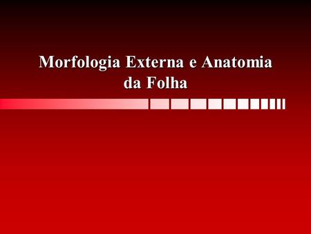 Morfologia Externa e Anatomia da Folha