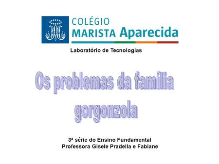 3ª série do Ensino Fundamental Professora Gisele Pradella e Fabiane