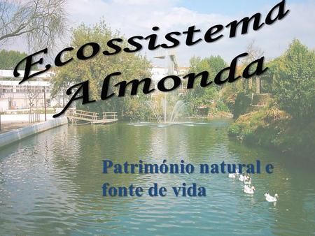 Ecossistema Almonda Património natural e fonte de vida.