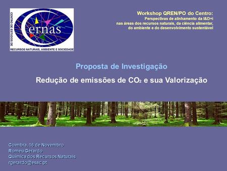 Proposta de Investigação Redução de emissões de CO 2 e sua Valorização Workshop QREN/PO do Centro: Perspectivas de alinhamento da I&D+i nas áreas dos recursos.