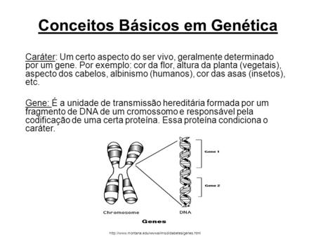 Conceitos Básicos em Genética