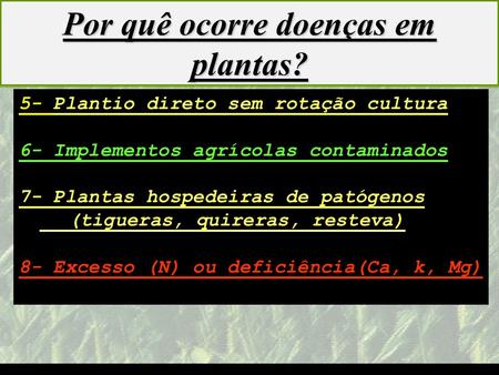 Por quê ocorre doenças em plantas?