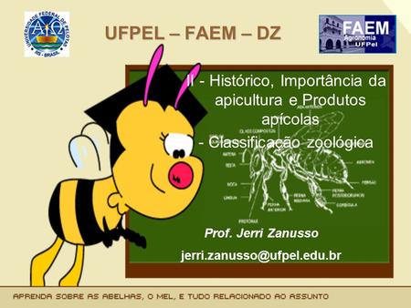 UFPEL – FAEM – DZ II - Histórico, Importância da apicultura e Produtos apícolas - Classificação zoológica Prof. Jerri Zanusso jerri.zanusso@ufpel.edu.br.
