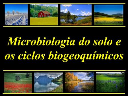 Microbiologia do solo e os ciclos biogeoquímicos
