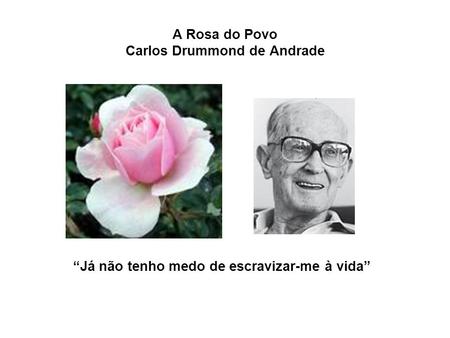 A Rosa do Povo Carlos Drummond de Andrade