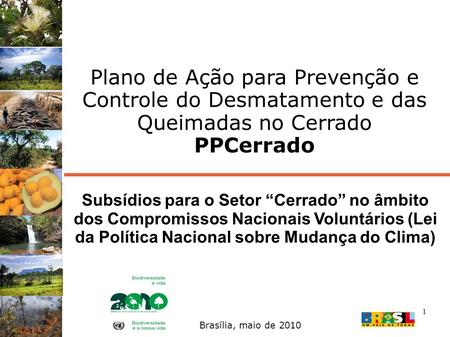 Plano de Ação para Prevenção e Controle do Desmatamento e das Queimadas no Cerrado PPCerrado Subsídios para o Setor “Cerrado” no âmbito dos Compromissos.