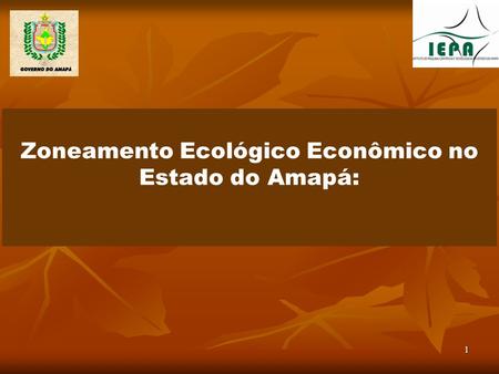 Zoneamento Ecológico Econômico no Estado do Amapá:
