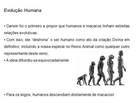 Evolução Humana Darwin foi o primeiro a propor que humanos e macacos tinham estreitas relações evolutivas; Com isso, ele “destrona” o ser humano como ato.