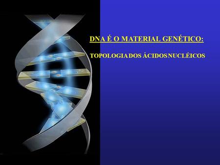 DNA É O MATERIAL GENÉTICO: