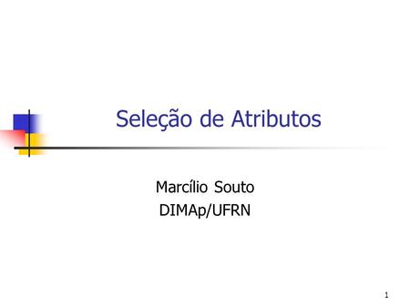 1 Seleção de Atributos Marcílio Souto DIMAp/UFRN.