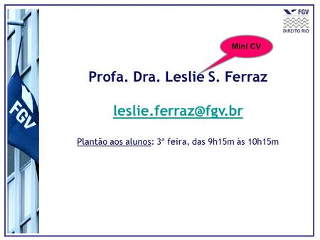 Profa. Dra. Leslie S. Ferraz Plantão aos alunos: 3ª feira, das 9h15m às 10h15m Mini CV.