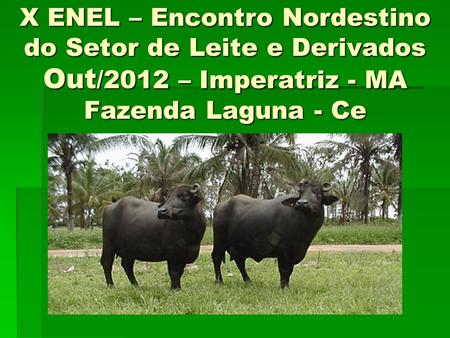 X ENEL – Encontro Nordestino do Setor de Leite e Derivados Out/2012 – Imperatriz - MA Fazenda Laguna - Ce.