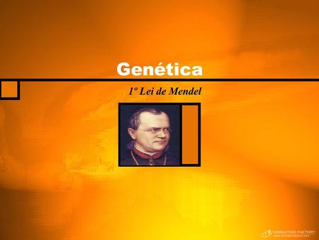 Genética 1º Lei de Mendel.