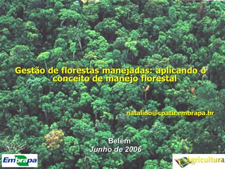 Gestão de florestas manejadas: aplicando o conceito de manejo florestal natalino@cpatu.embrapa.br Belém Junho de 2006.