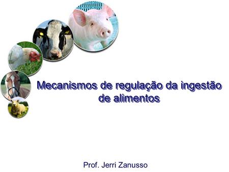 Mecanismos de regulação da ingestão de alimentos