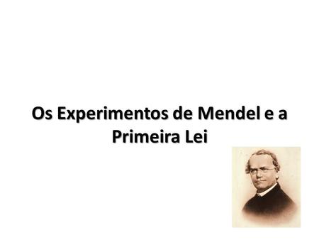 Os Experimentos de Mendel e a Primeira Lei