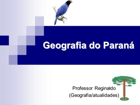 Professor Reginaldo (Geografia/atualidades)