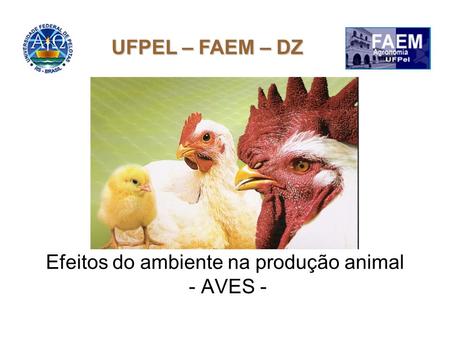 Efeitos do ambiente na produção animal - AVES -