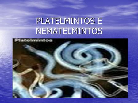 PLATELMINTOS E NEMATELMINTOS