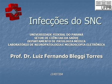 Infecções do SNC Prof. Dr. Luiz Fernando Bleggi Torres