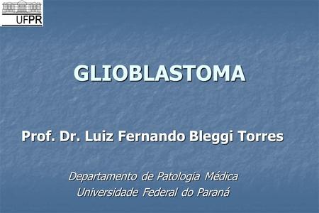 Prof. Dr. Luiz Fernando Bleggi Torres