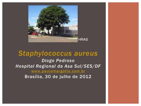 HRAS Staphylococcus aureus Diogo Pedroso Hospital Regional da Asa Sul/SES/DF www.paulomargotto.com.br Brasília, 30 de julho de 2012.