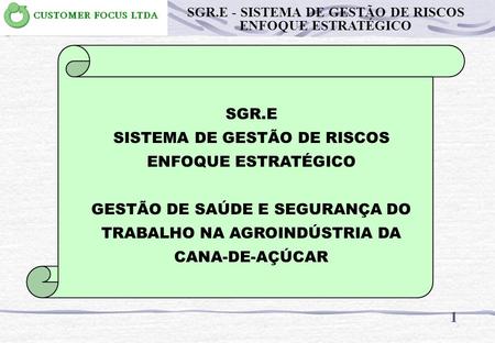 SISTEMA DE GESTÃO DE RISCOS ENFOQUE ESTRATÉGICO