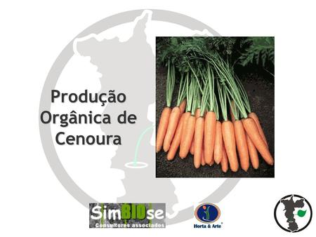 Produção Orgânica de Cenoura