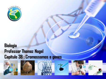 Biologia Professor Thomaz Nagel Capítulo 38 : Cromossomos e genes.