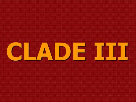 CLADE III.