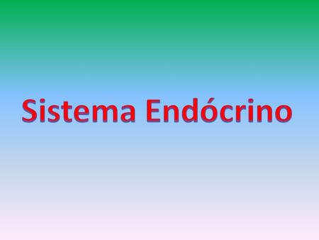 Sistema Endócrino.