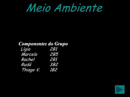 Meio Ambiente Componentes do Grupo Lígia 2B1 Marcelo 2B5 Rachel 2B1 Rudá 3B2 Thiago V. 1B2.