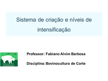 Professor: Fabiano Alvim Barbosa Disciplina: Bovinocultura de Corte