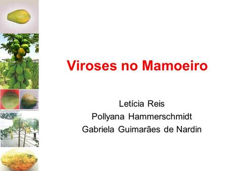 Letícia Reis Pollyana Hammerschmidt Gabriela Guimarães de Nardin