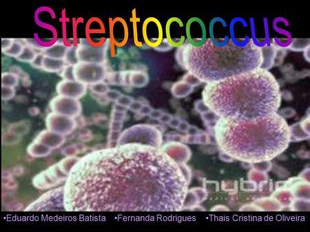 Streptococcus Eduardo Medeiros Batista Fernanda Rodrigues