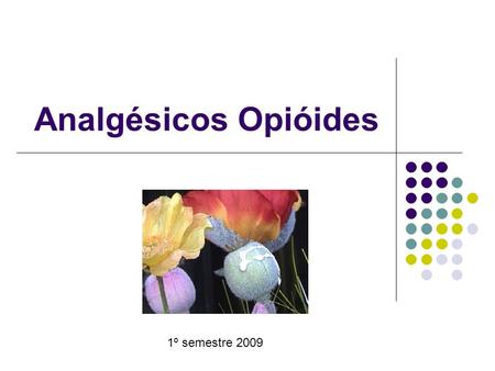 Analgésicos Opióides 1º semestre 2009.