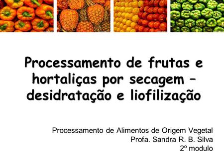 Processamento de Alimentos de Origem Vegetal Profa. Sandra R. B. Silva