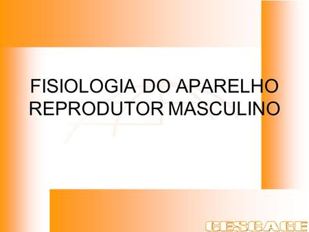 FISIOLOGIA DO APARELHO REPRODUTOR MASCULINO