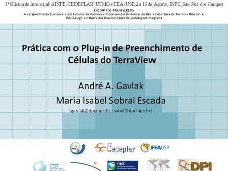 Prática com o Plug-in de Preenchimento de Células do TerraView André A. Gavlak Maria Isabel Sobral Escada  1ª Oficina.