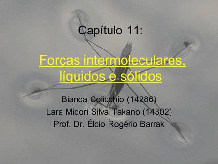 Capítulo 11: Forças intermoleculares, líquidos e sólidos