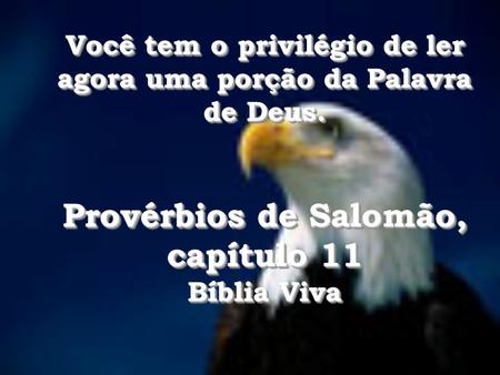 Provérbios de Salomão, capítulo 11