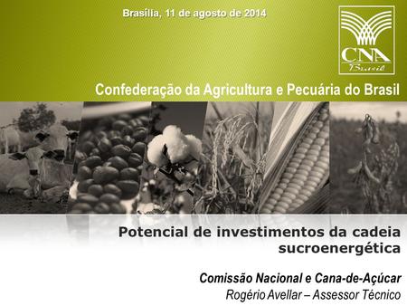 Confederação da Agricultura e Pecuária do Brasil Comissão Nacional e Cana-de-Açúcar Rogério Avellar – Assessor Técnico Potencial de investimentos da cadeia.