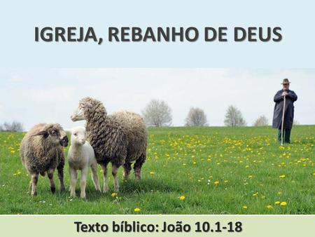 IGREJA, REBANHO DE DEUS Texto bíblico: João 10.1-18.