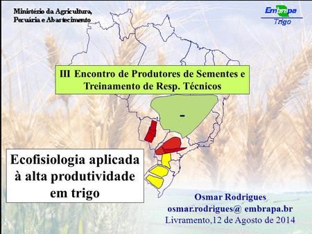 Ecofisiologia aplicada à alta produtividade em trigo