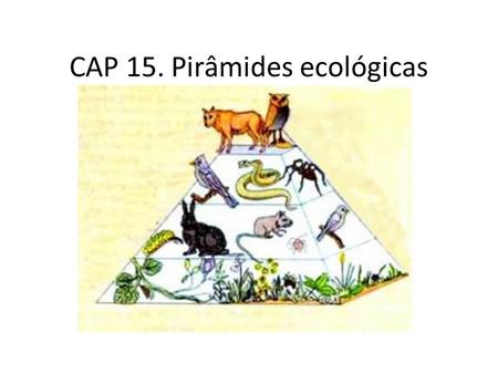 CAP 15. Pirâmides ecológicas