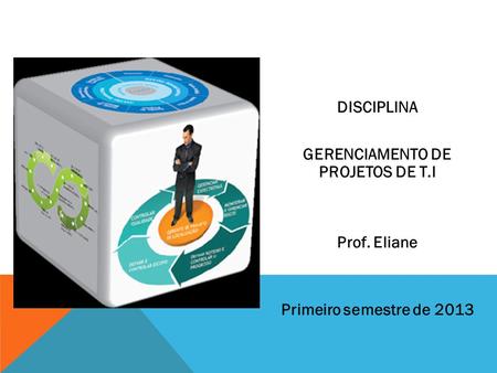DISCIPLINA GERENCIAMENTO DE PROJETOS DE T.I Prof. Eliane Primeiro semestre de 2013.