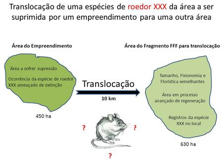 Translocação de uma espécies de roedor XXX da área a ser suprimida por um empreendimento para uma outra área Área do Empreendimento Área do Fragmento FFF.