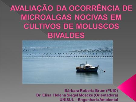  Maior produtor nacional de moluscos, produzindo em torno de 12.462 toneladas e chegando a 90% de toda a produção brasileira (EPAGRI, 2009);  Palhoça.