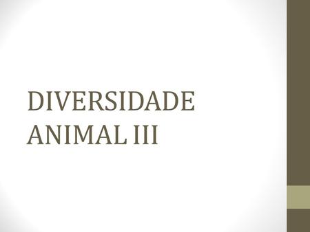DIVERSIDADE ANIMAL III